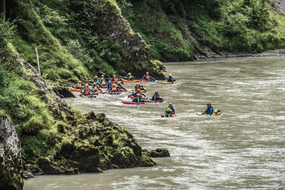 Riverbug-image