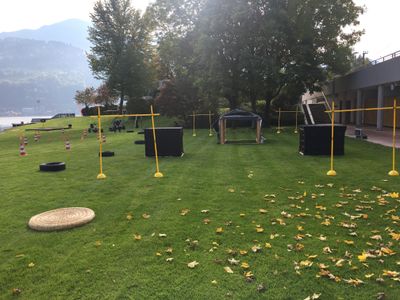 Secret Agent Training-image