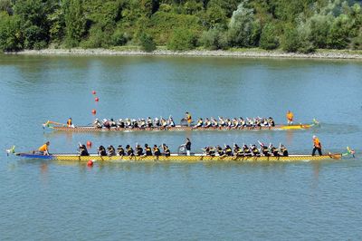 50er Drachenboot - einmalig in Europa-image