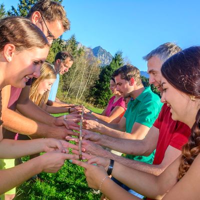 Networking in Nature-image